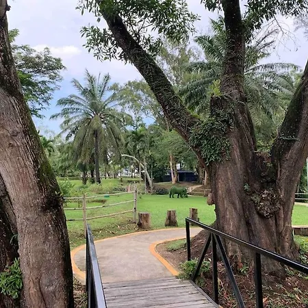 Skypark Laguna Phuket 邦涛海滩 Exterior photo